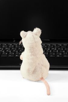 Laptop And Mouse Royalty Free Stock Images