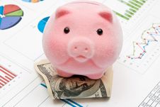 Piggy Bank And Charts Stock Images Piggy Bank And Charts Stock Images