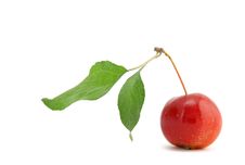 Chinese Cherry Apple On White Background Royalty Free Stock Photography Chinese Cherry Apple On White Background Royalty Free Stock Photography