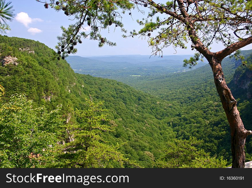 A scenic view of Cloudland Canyon State Park, Georgia. A scenic view of Cloudland Canyon State Park, Georgia