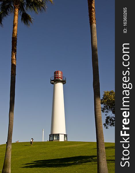 Lighthouse Through Palm Trees