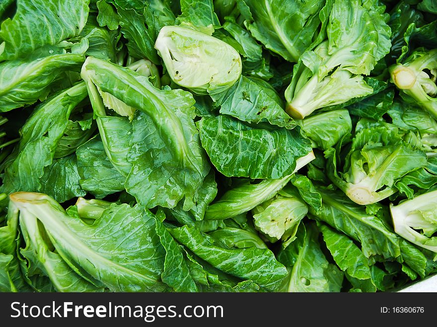 Many of small lettuce in fresh market