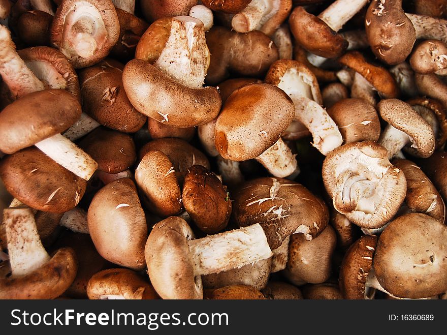 Many Of Chinese Mushroom In Fresh Market