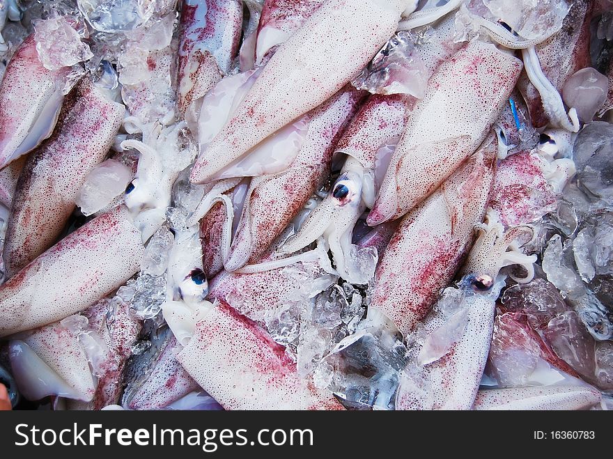 Many Of Raw Squid In Fresh Market