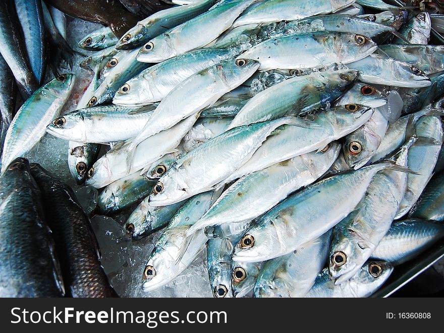 Many mackerel in fresh market
