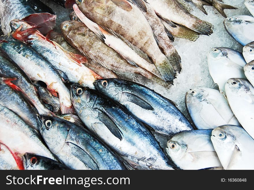 Many kind of fish in Thailand fresh market. Many kind of fish in Thailand fresh market