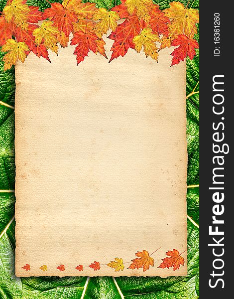 Autumn background with colored leaves on old paper
