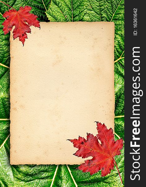 Autumn Background With Colored Leaves On Old Paper