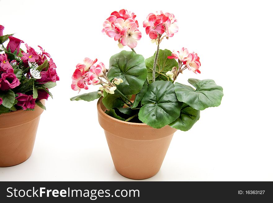 Ceramics flowerpots with flower jewelry