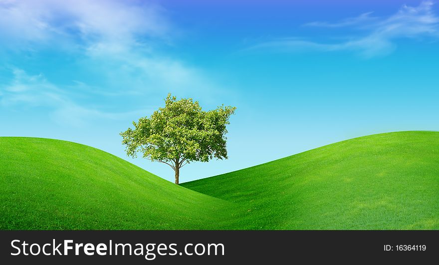 Tree On Green Field