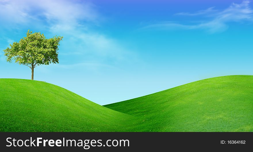 Summer landscape - green meadow, tree and blue sky. Summer landscape - green meadow, tree and blue sky