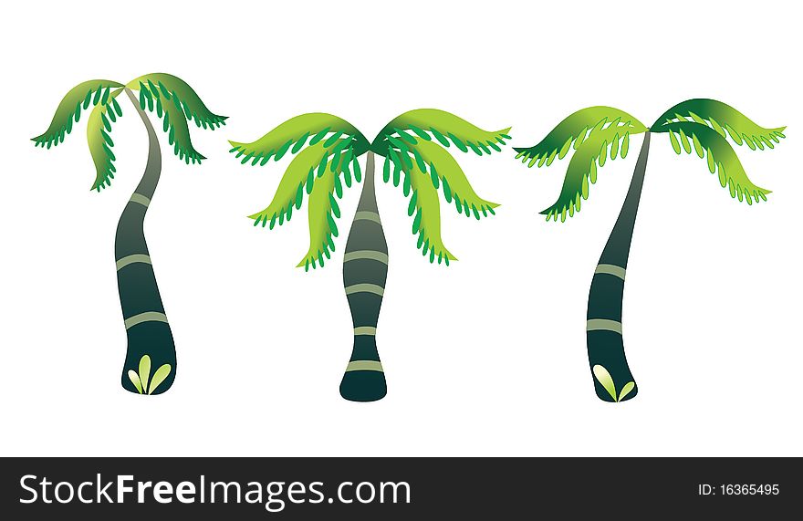 Three green palm on a white background