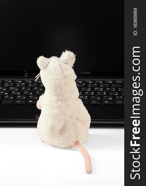 Laptop and a toy mouse on a white background. Laptop and a toy mouse on a white background
