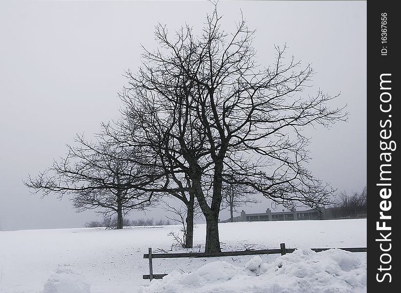 Snow covered ground with dormant trees and a wooden fence. Snow covered ground with dormant trees and a wooden fence.