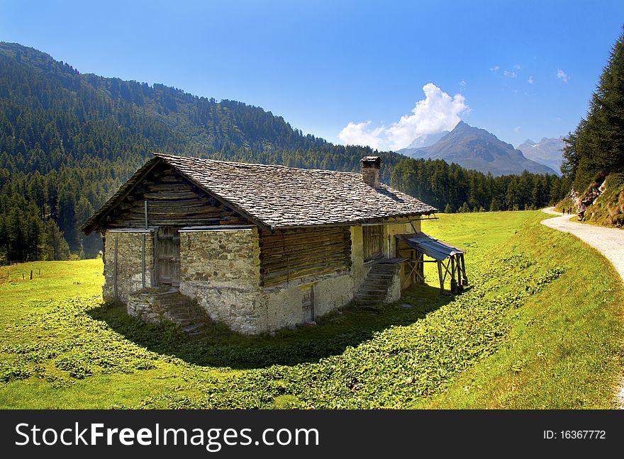 House In The Meadow