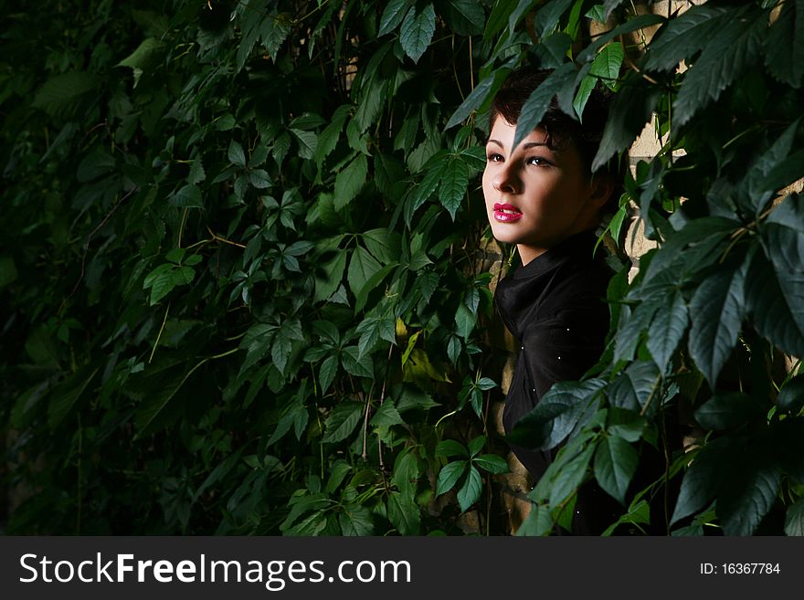 Young Lady In Vine Leaves