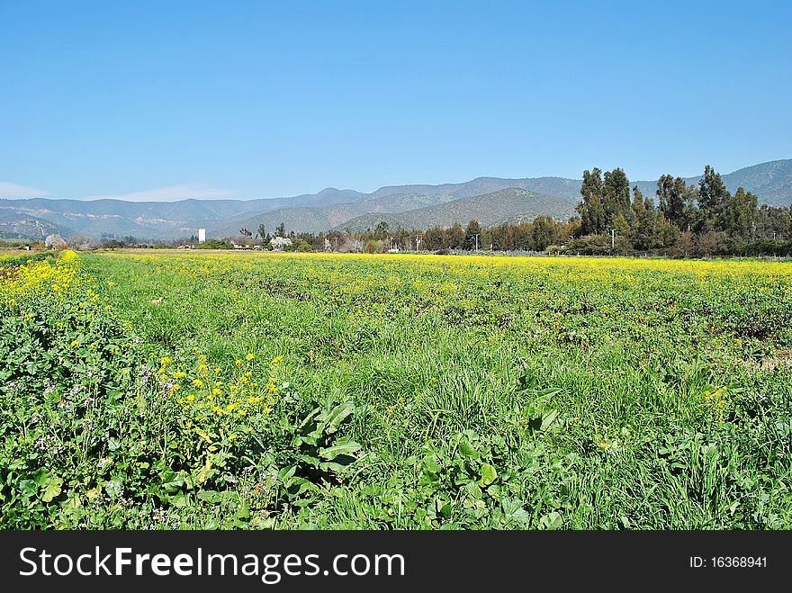 Farm landscape, small valley in the city of Santiago, chili