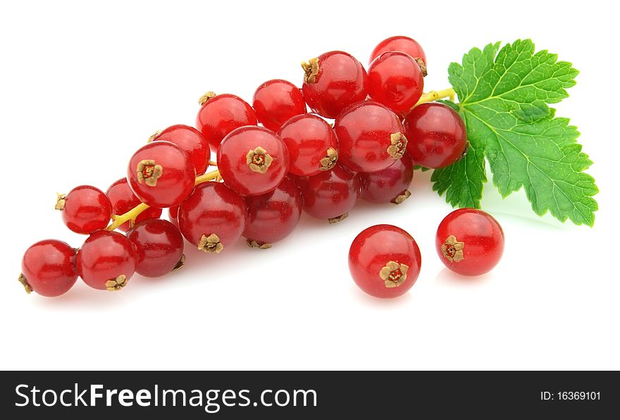 Ripe currant on a white background