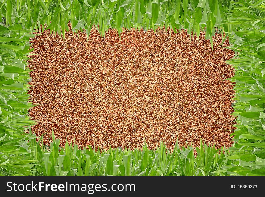 Square grass shape in front of sand background. Square grass shape in front of sand background