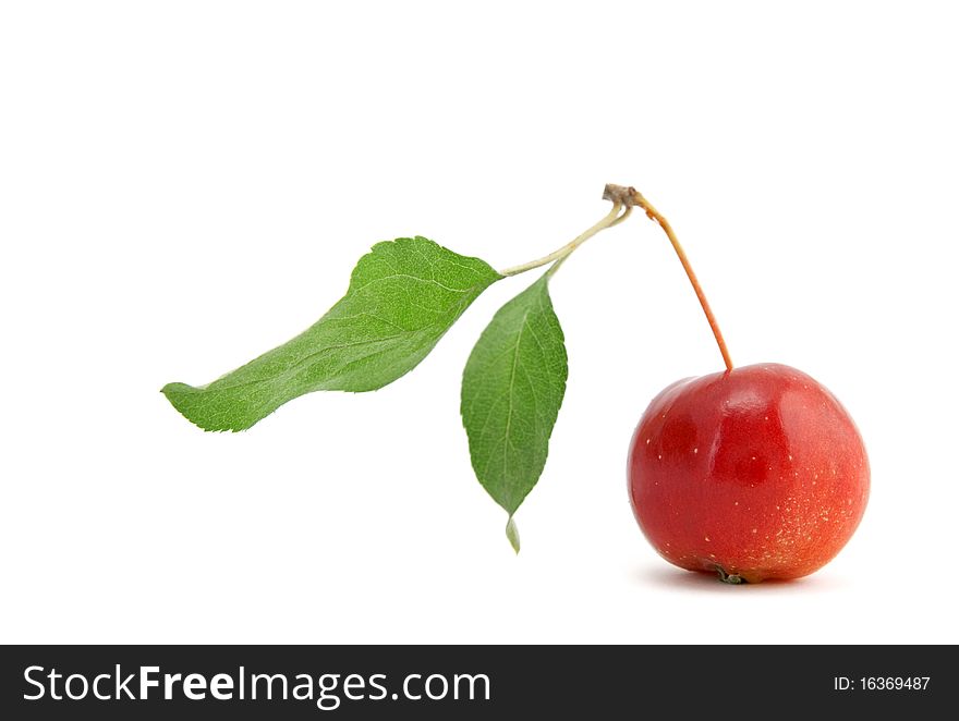 Chinese Cherry Apple On White Background