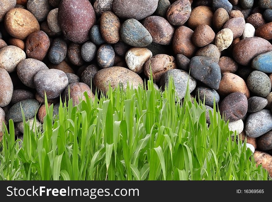 Curve geass shape in front of round stone background