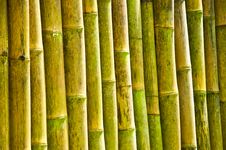 Bamboo Wall Royalty Free Stock Photo