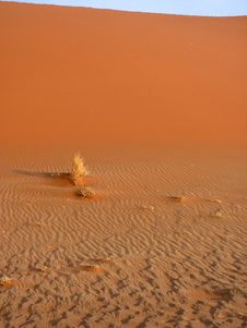 Namibian Sand Dunes Stock Images Namibian Sand Dunes Stock Images