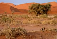 Namibian Sand Dunes Royalty Free Stock Photo Namibian Sand Dunes Royalty Free Stock Photo