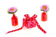 Present Between Carnation Flowers Royalty Free Stock Photography Present Between Carnation Flowers Royalty Free Stock Photography