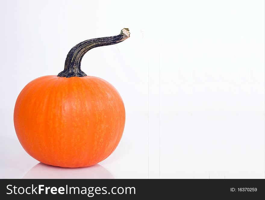 Orange pumpkin isolated on white, copy space at right. Orange pumpkin isolated on white, copy space at right