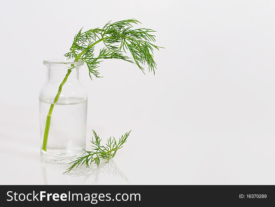 Dill sprig in small water bottle. Dill sprig in small water bottle