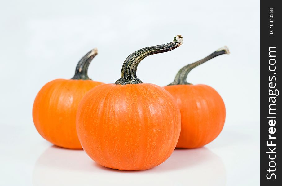 3 orange pumpkins isolated on white, shallow dof with focus on foreground. 3 orange pumpkins isolated on white, shallow dof with focus on foreground