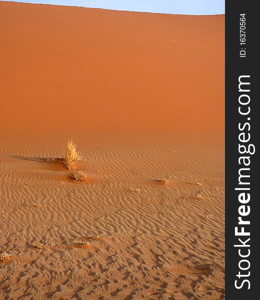 Namibian Sand Dunes