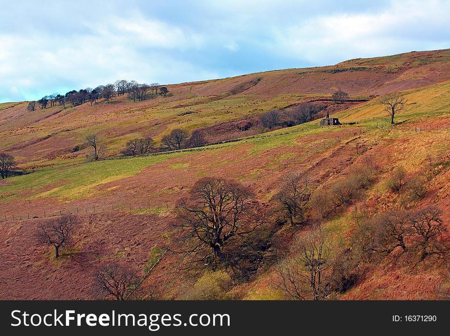 Scottish landscape with trees in Autumn. Scottish landscape with trees in Autumn