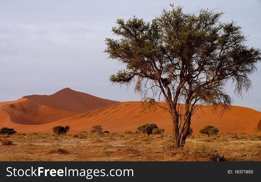 Sandy scenery in Southern Namibia. Sandy scenery in Southern Namibia