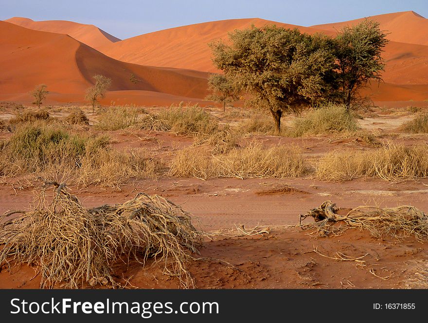 Sandy scenery in Southern Namibia. Sandy scenery in Southern Namibia