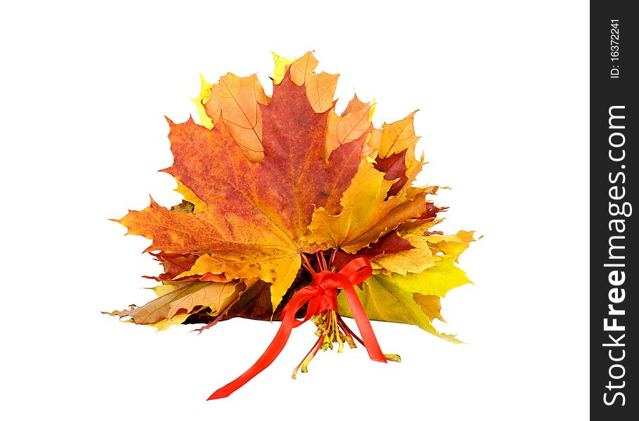 Bouquet of autumn leaves tied with red ribbon isolated on white