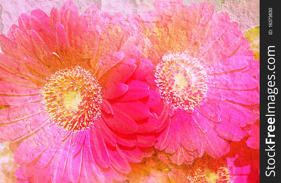 Gerbera - styled floral picture with patina texture. Gerbera - styled floral picture with patina texture