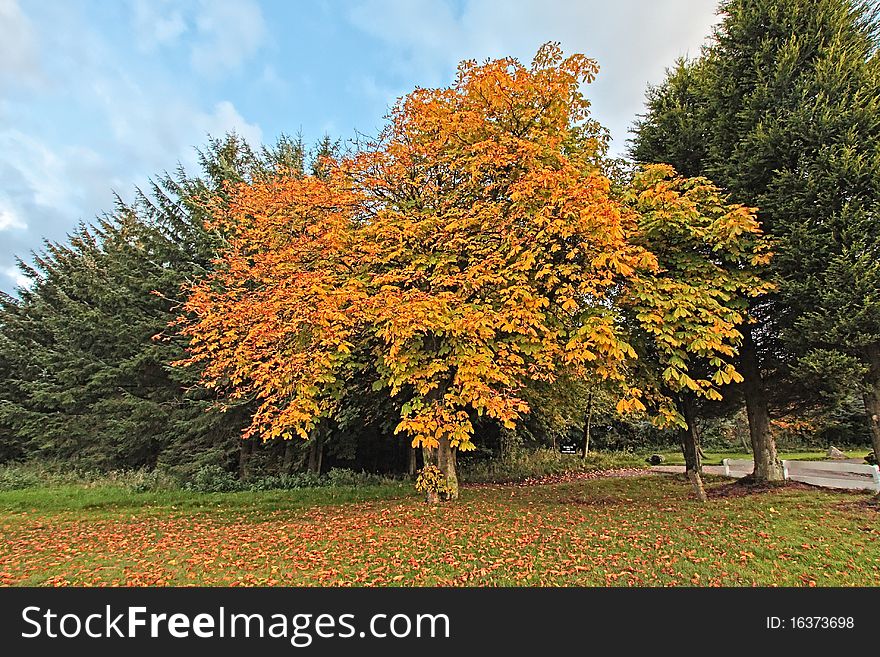 Beautiful Autumn In Scotland