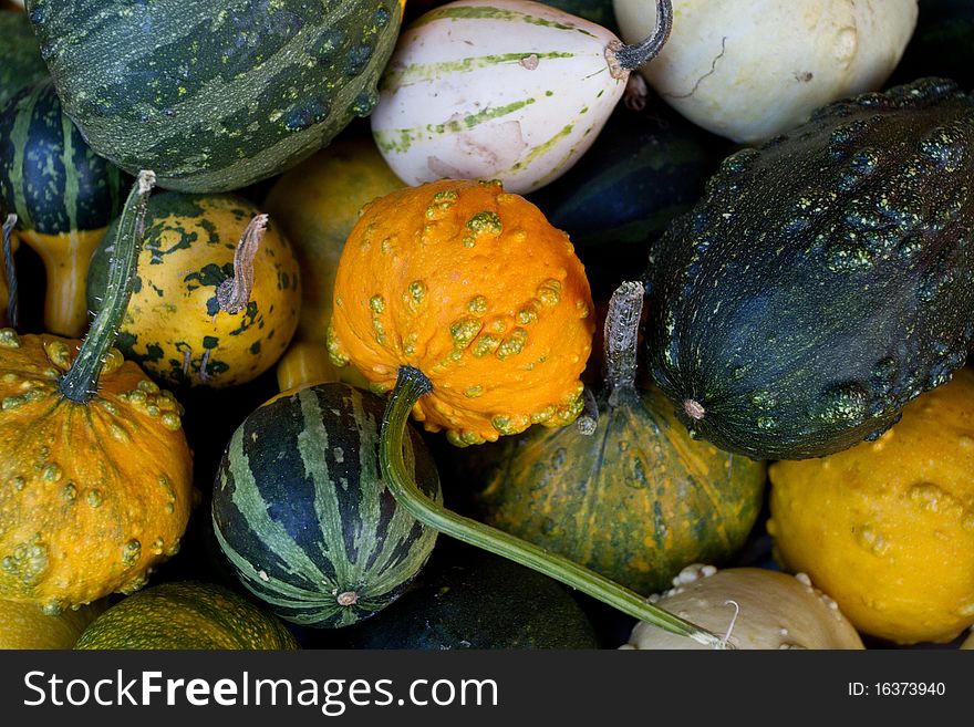 Various squash at a market place