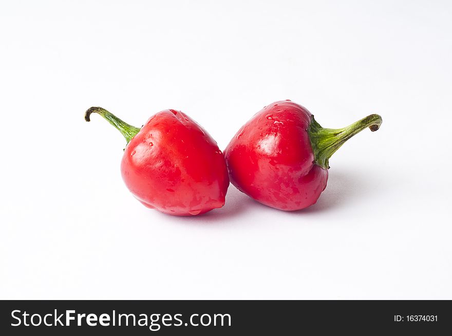 Very spicy chilli on white background