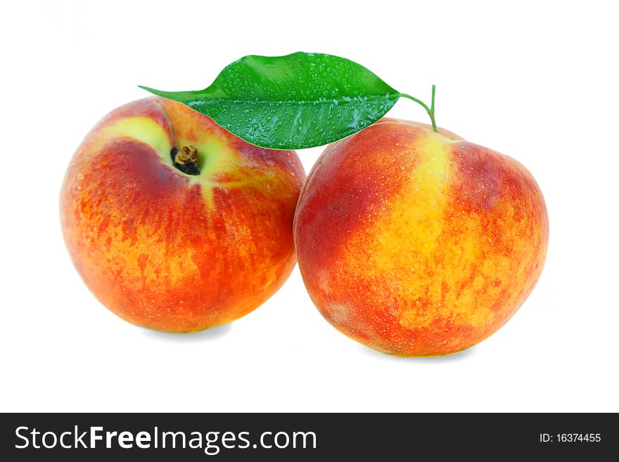 Two peach on a white background. Two peach on a white background