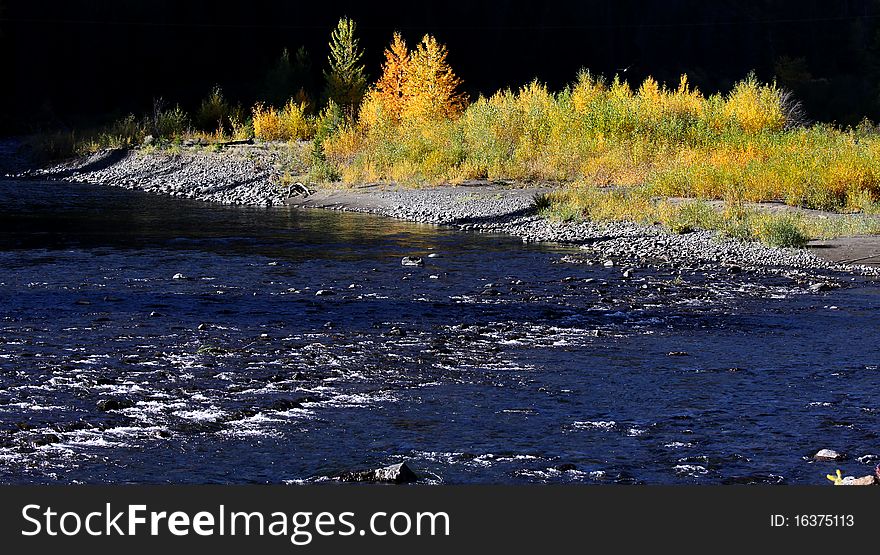 Bright colored autumn bushes by the running water