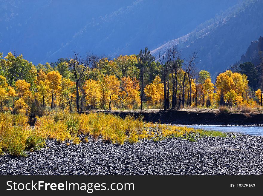 Scenic autumn landscape in North west Wyoming