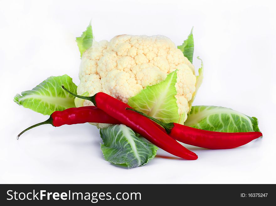 Vegetables on a white background