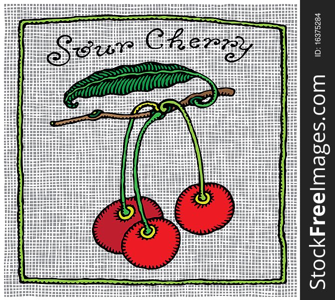 Sour cherry on the branch label woodcut. Sour cherry on the branch label woodcut