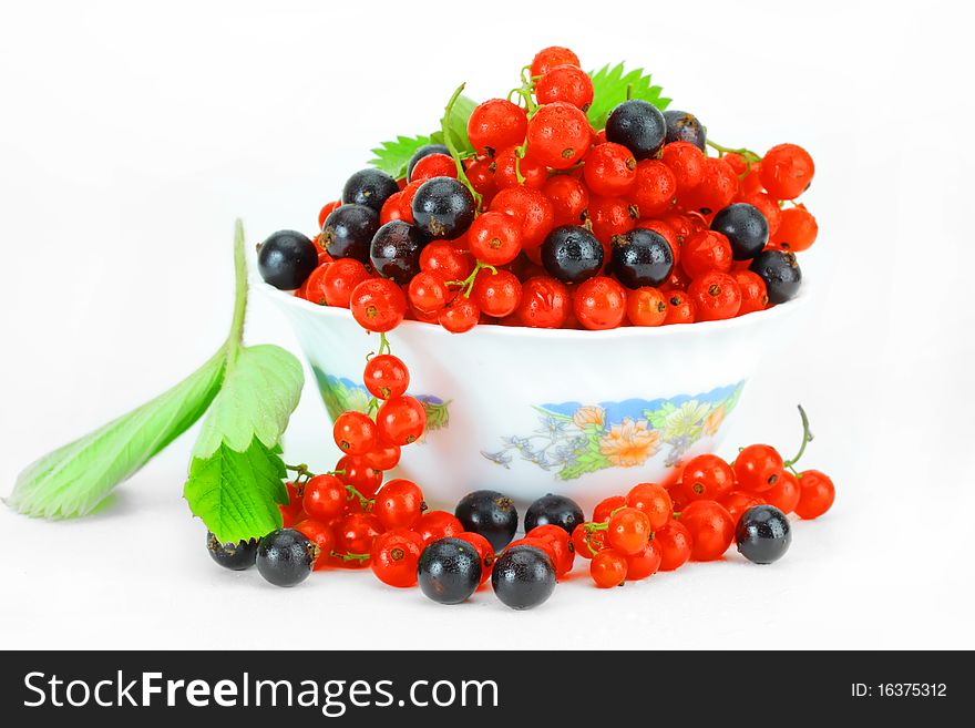 Black currant and red on a white background. Black currant and red on a white background