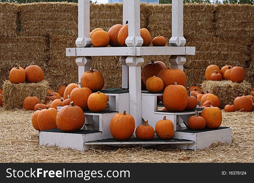 Seasonal Orange Pumpkins Display