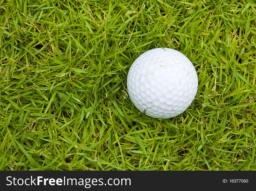 Golf on green field