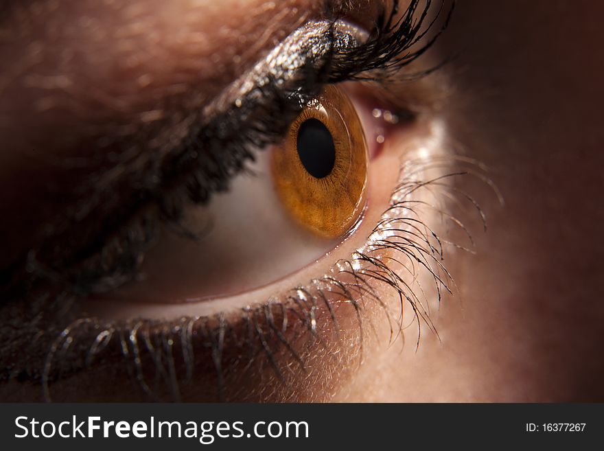 Woman`s brown eye peeping in darkness